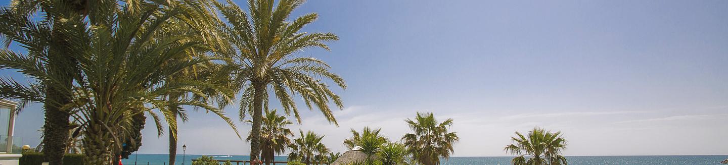 Book your next holiday now!