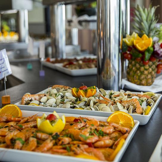 Discover our gastronomic proposal